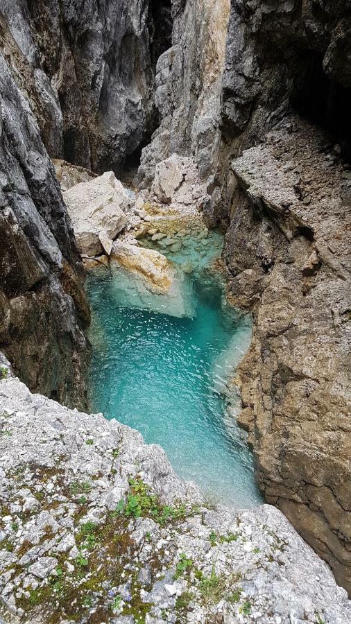 Blumaecker Oberbayern Appartamento