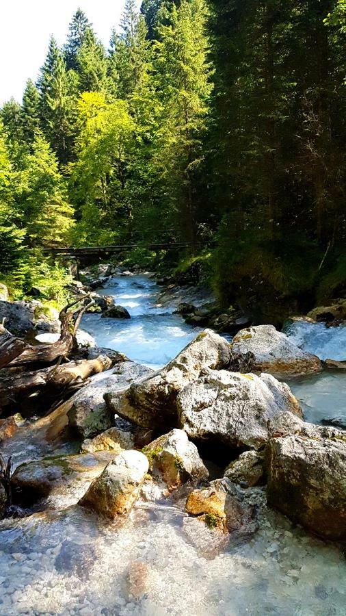 Blumäcker Oberbayern *