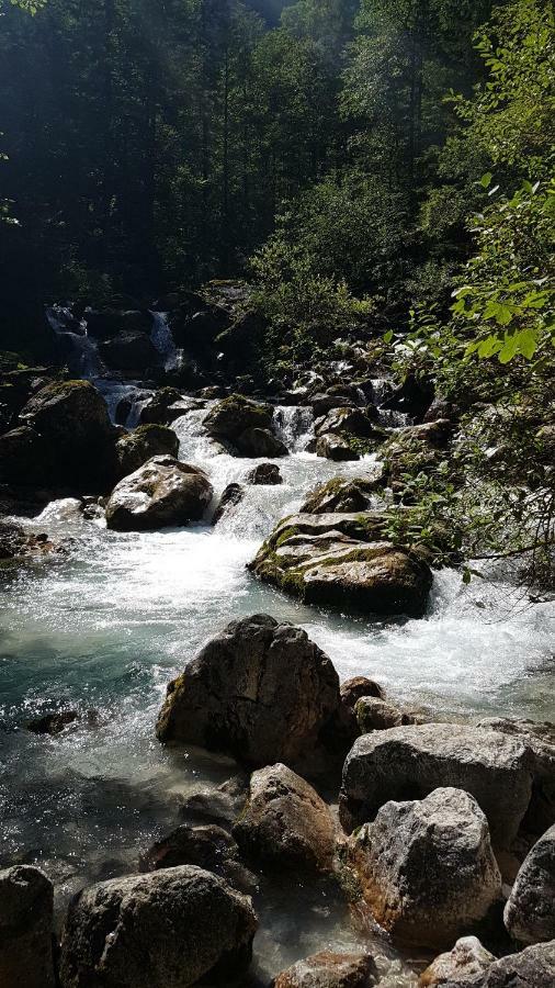 Blumäcker Oberbayern *